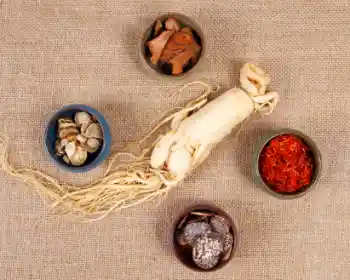 인삼 효능 및 가격, 영양 성분의 효과