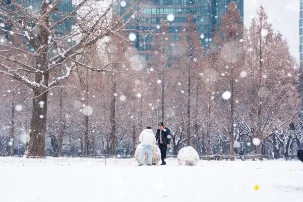 겨울 여행지 추천 서울숲