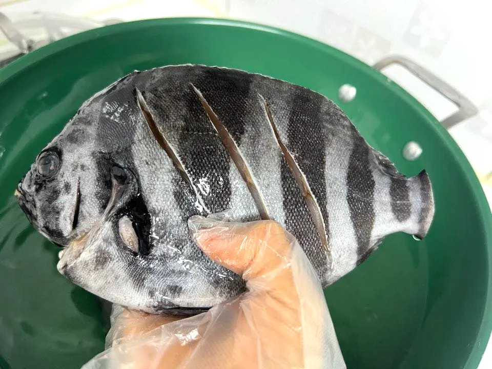 냉동생선 해동 생선 맛있게 굽기 꿀팁_5