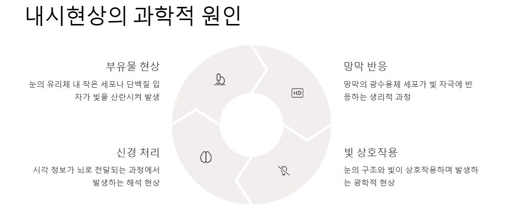 내시현상:비분증,블루필드내시현상,안내섬광,푸르킨예나무현상,하이딩거의 붓 원인,증상,완화관리법