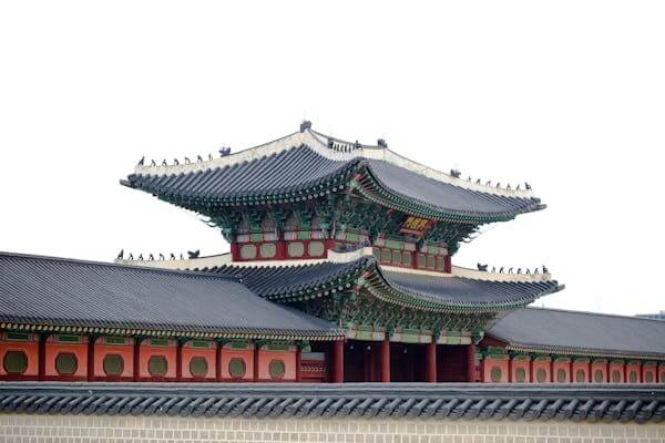 경복궁 야간개장 예약방법 /하반기 야간관람/무료관람 꿀팁