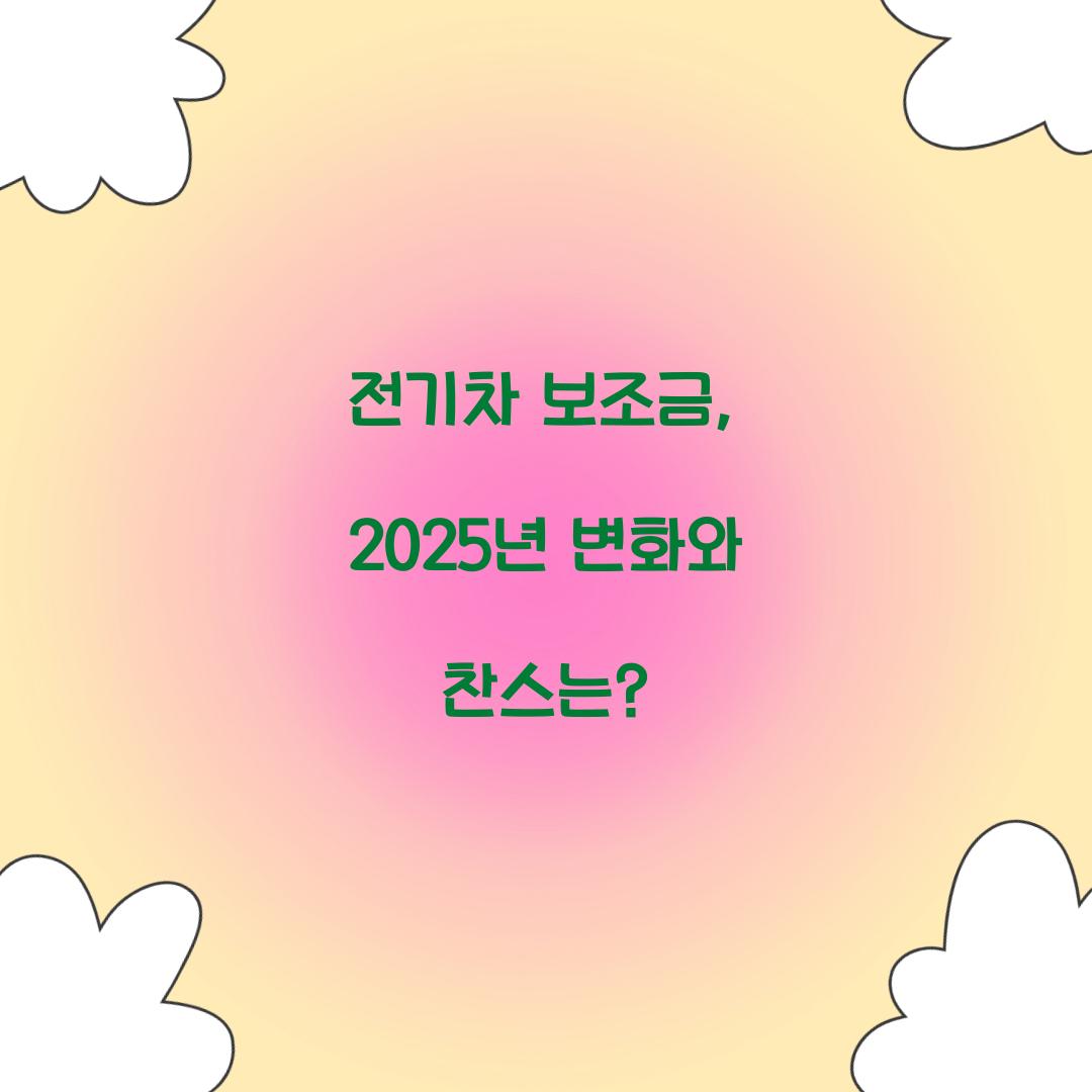 전기차 보조금