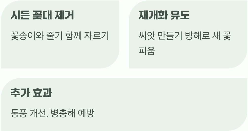 꽃의 계절을 늘리는 마법