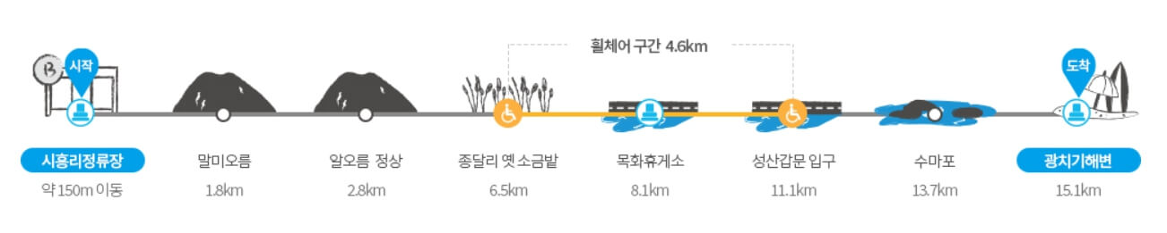 초보자도 쉽게 도전! 걷기 좋은 올레길 BEST 5 🌿