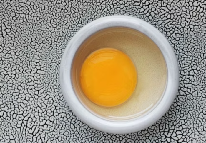 살모넬라균 예방, 계란 보관법