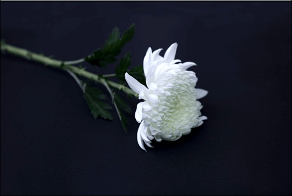 방콕 총기난사 사건