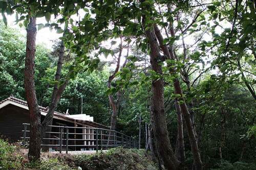 숲나들이E 예약