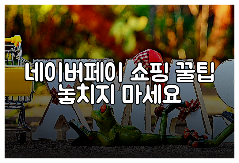 네이버페이 쇼핑 꿀팁 놓치지 마세요