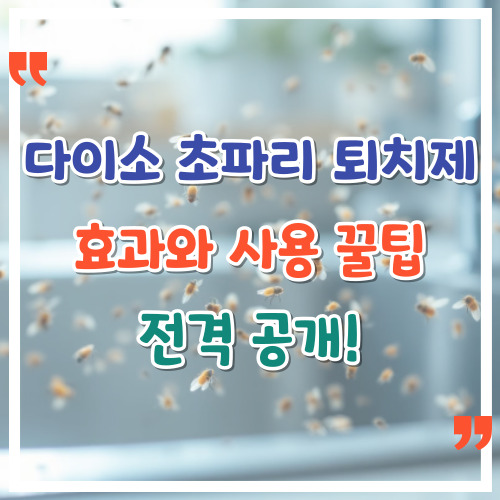 다이소 초파리 퇴치제 효과와 사용 꿀팁 전격 공개