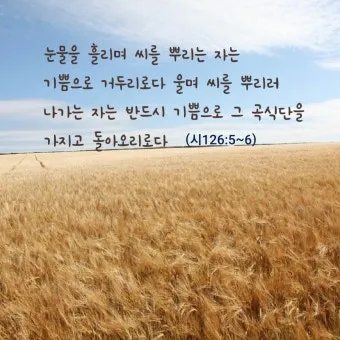 시편 126편 5 6절 씨뿌리는 자_20