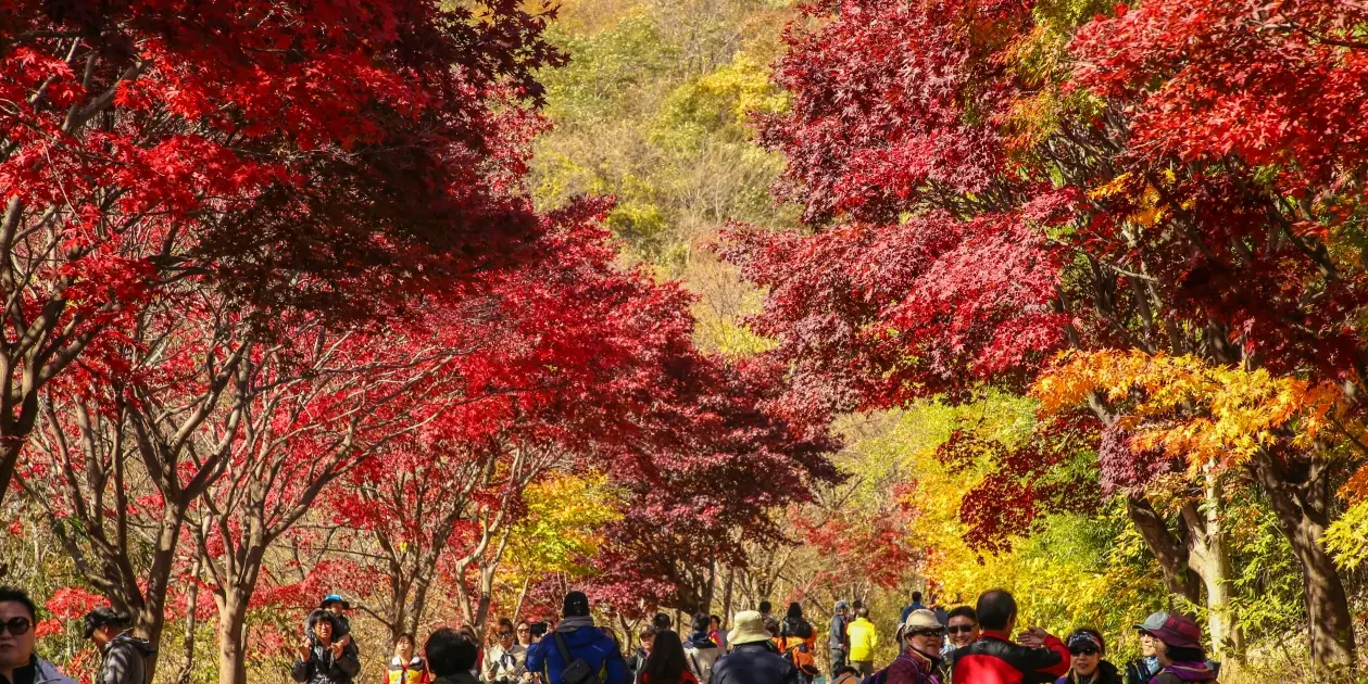 지리산-단풍