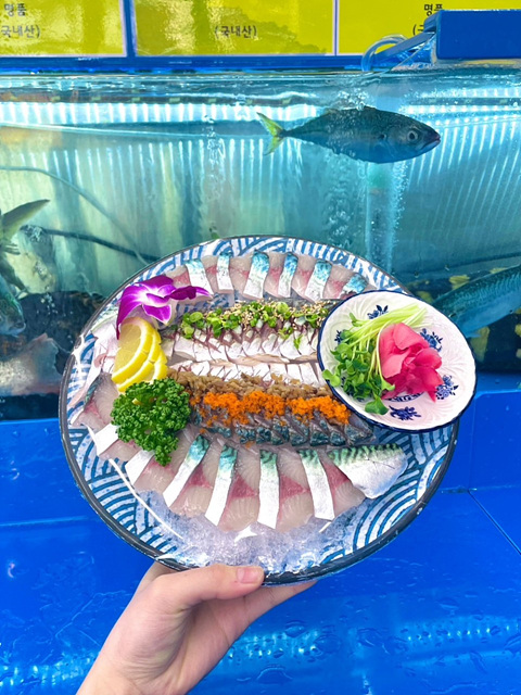 서울 도다리 회 세꼬시 맛집 추천 세민수산 이레상회 홍초장 까치산역 막회집 노량진수산시장횟집 동어동락 대찬횟집 손선장 푸른바다 마실 목포명가