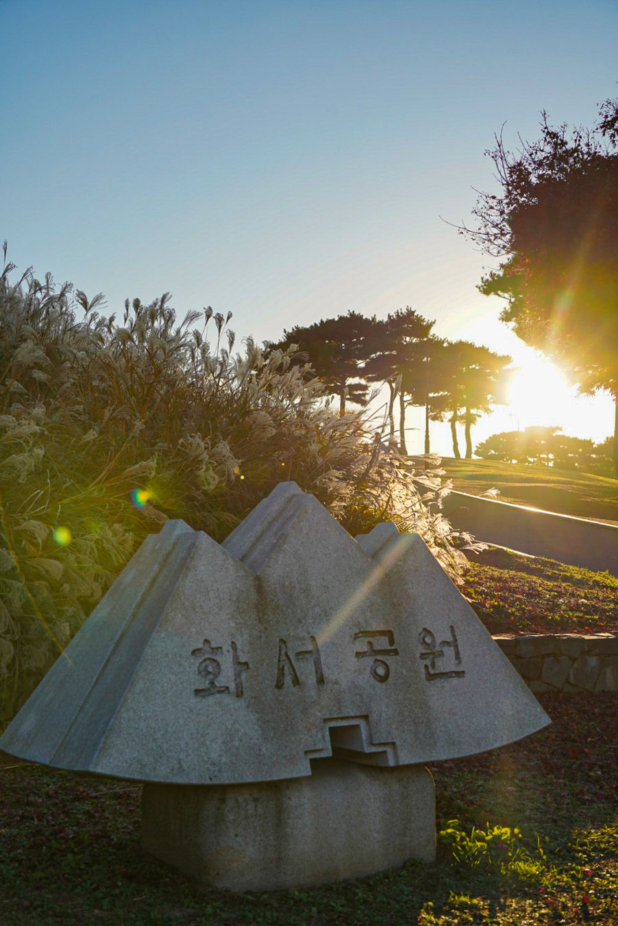 화서공원 억새