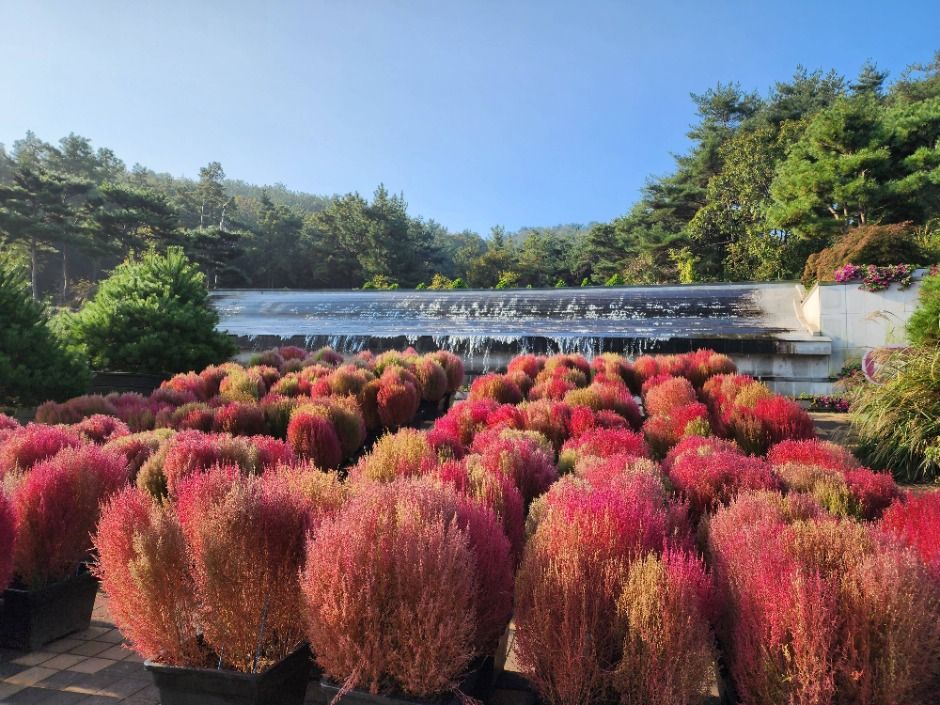 안산 가볼만한곳 베스트10