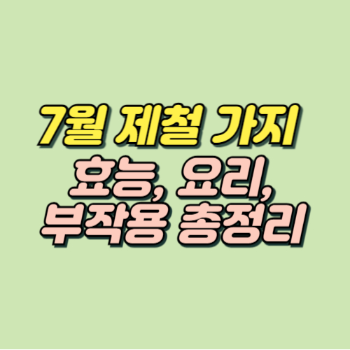 7월 제철음식 가지
