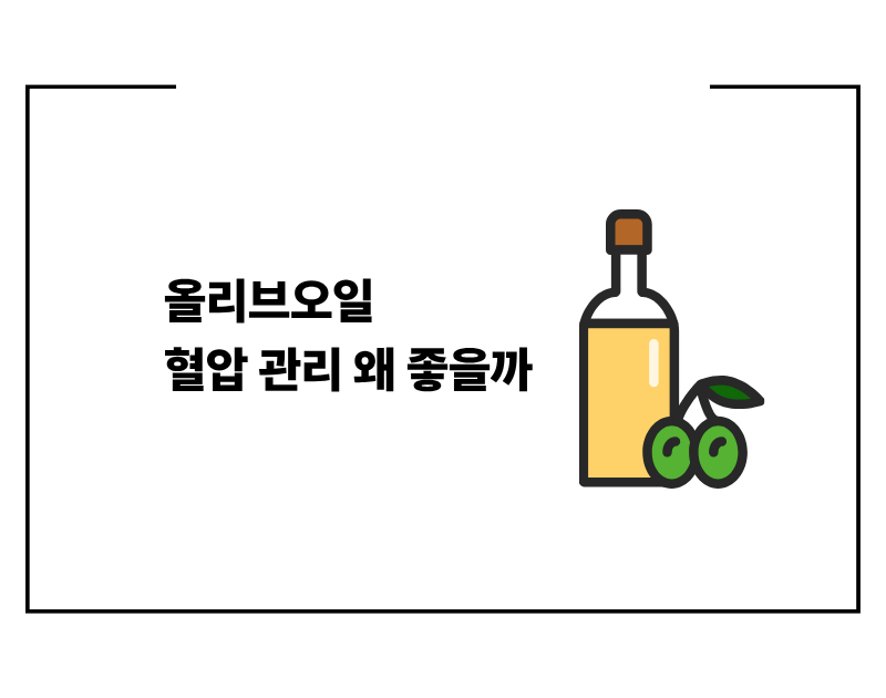 올리브오일 혈압 관리 왜 좋을까 실전 꿀팁