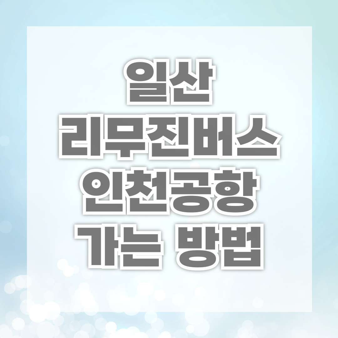 일산 리무진버스 인천공항