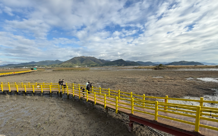 강진만 생태공원