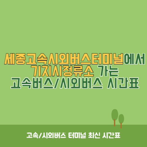 세종고속시외버스터미널에서 기지시정류소 가는 고속버스_시외버스&nbsp;시간표
