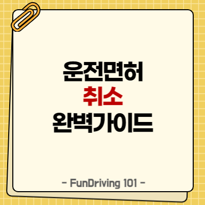 운전면허 취소 완벽가이드