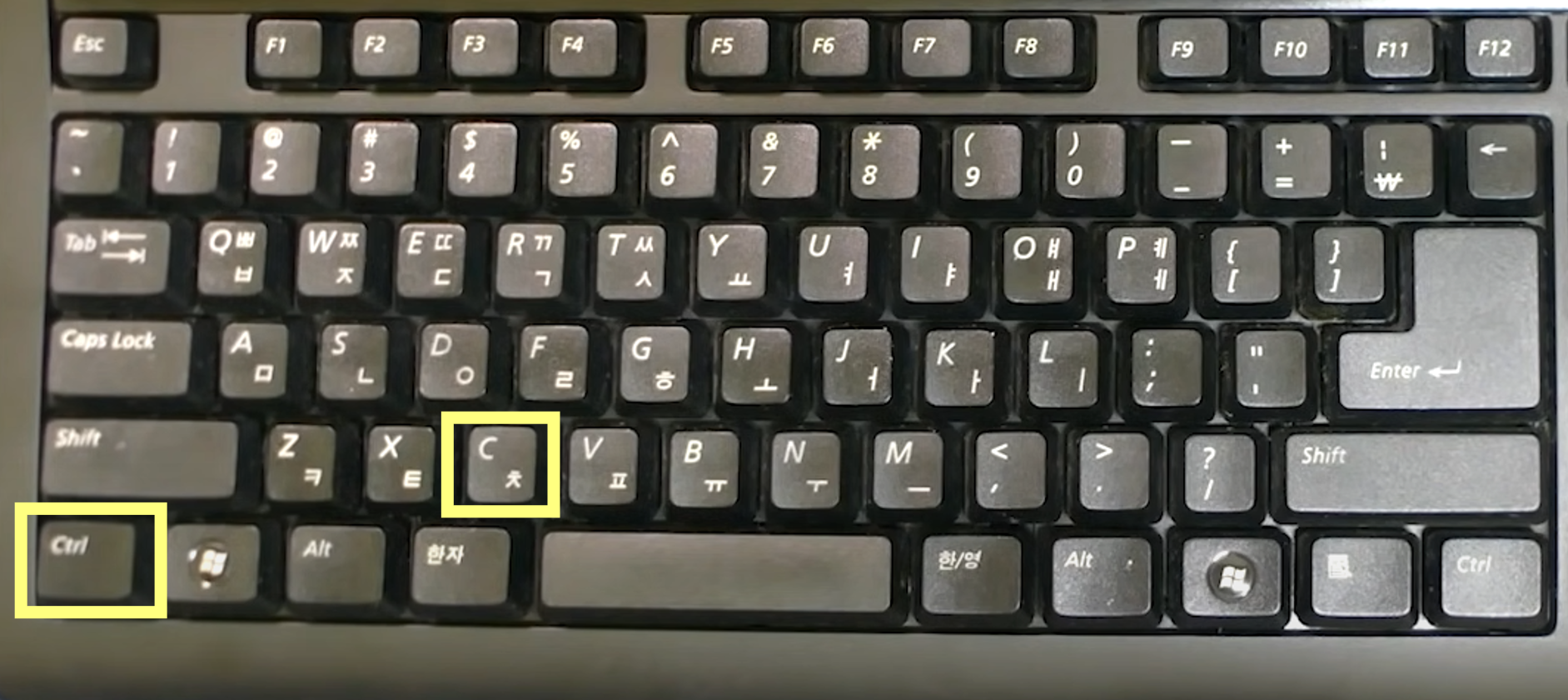 복사하기 (Ctrl + C)