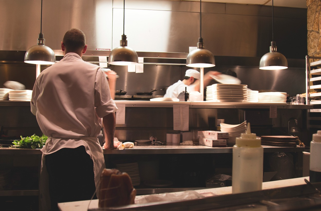 희귀 직업 탐구: 곤충 요리사, 미래 식탁의 혁신을 주도하는 셰프