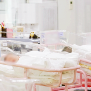 저출산 관련주 대장주 출산율 테마주 TOP5