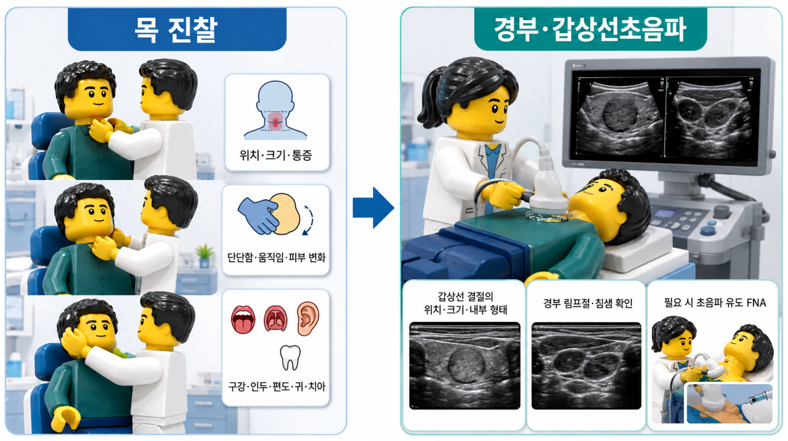 갑상선기능검사 TSH&middot;Free T4와 목 CT&middot;MRI 영상검사의 역할 비교