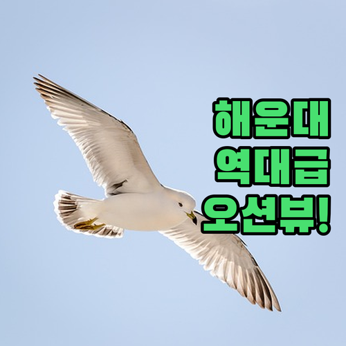 해운대 오션뷰 호텔 위치 좋고 깔끔한..