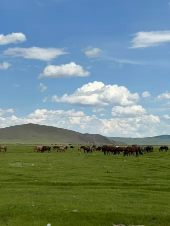 몽골 여행하기 좋은 계절 완벽 가이드 베스트 시기_17