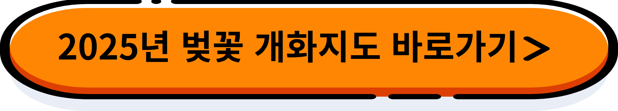 벚꽃 개화지도 바로가기