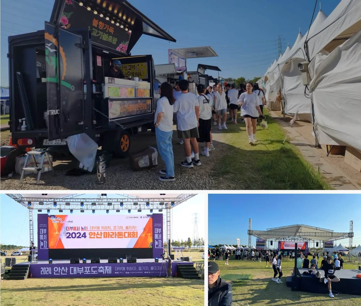 안산 대부 포도 축제 기본정보