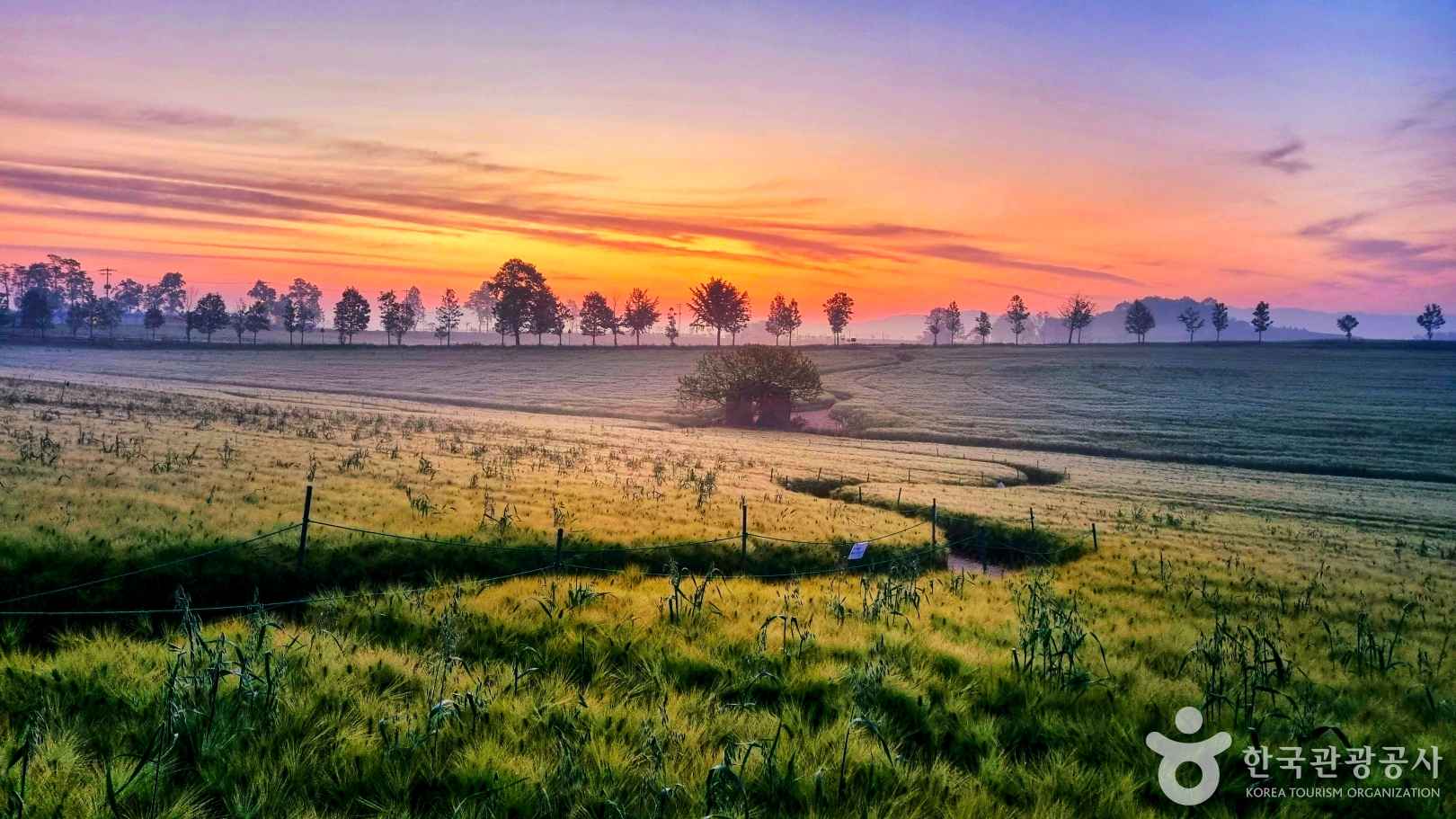 보리나라 학원농장