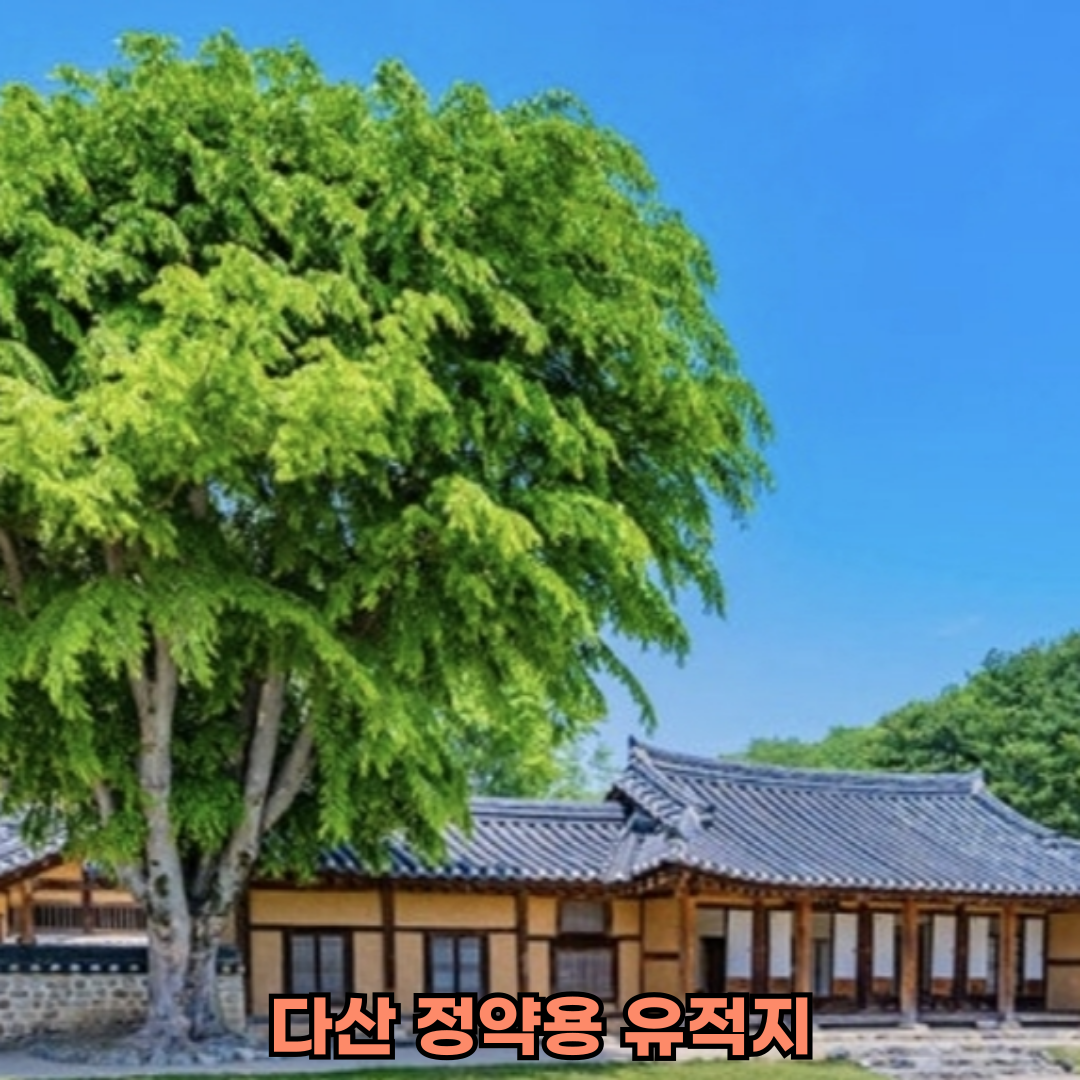 당일치기 경기도 봄 여행