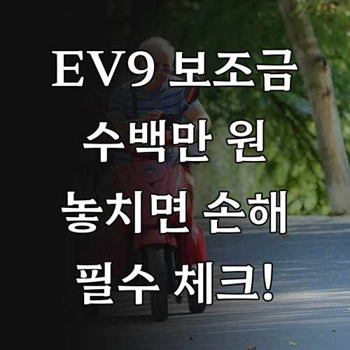 EV9 롱레인지 4WD 19인치 모델..