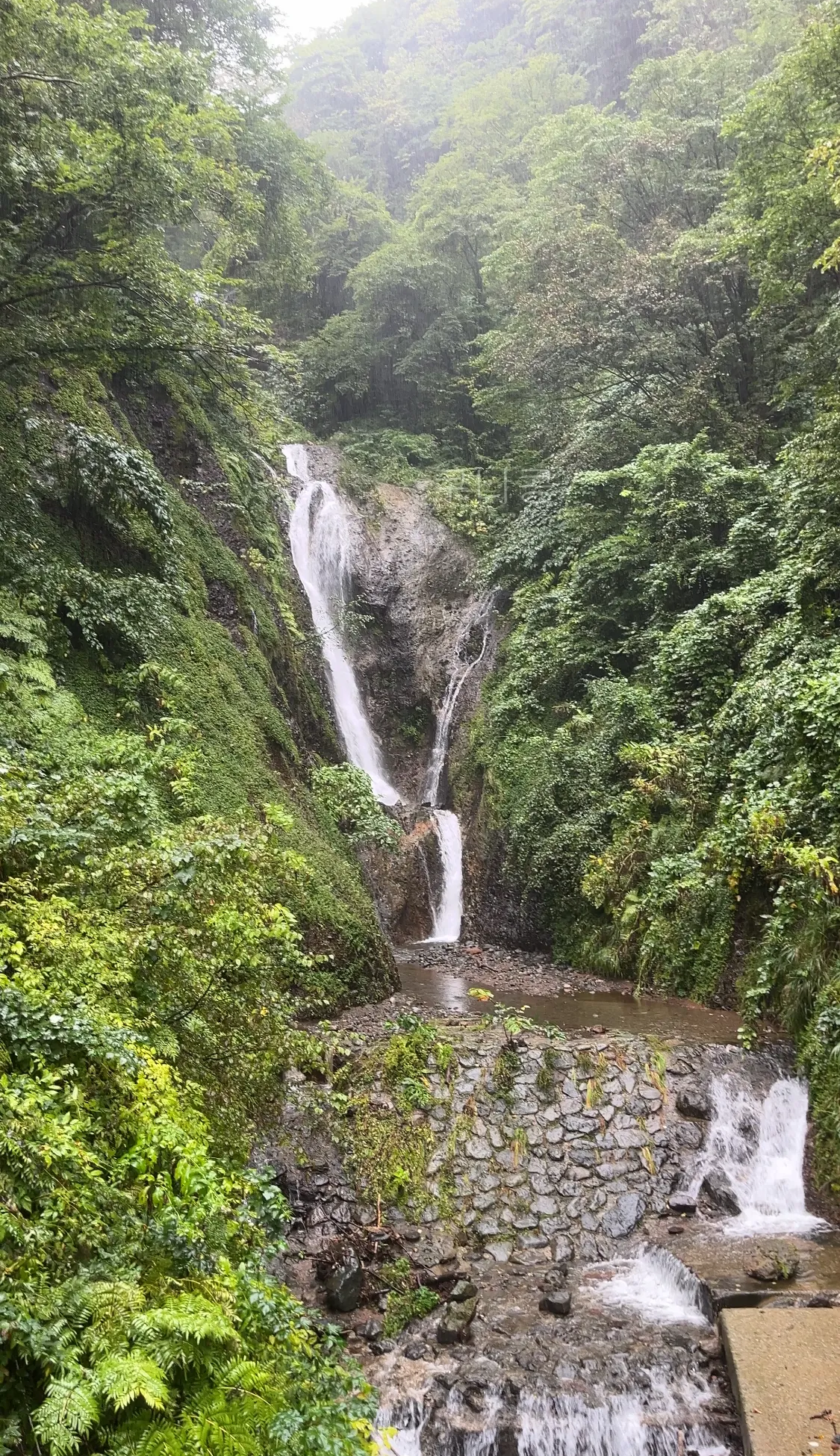 울릉도-추석가족여행-2일차-봉래폭포-입장료할인-주차정보-등산-난이도