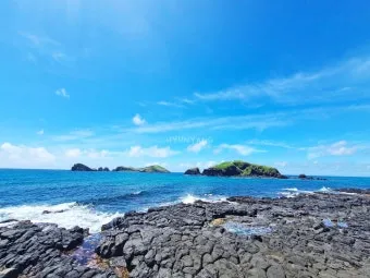 제주도 여름 여행 예산표 2박 3일 기준 경비 정리_11