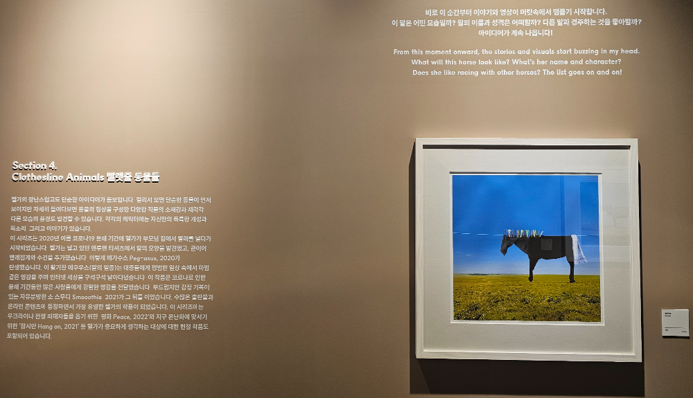 아쿠아플라넷 여수 헬가 스텐첼 특별전