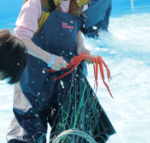 울진대게 축제 체험 프로그램 행사