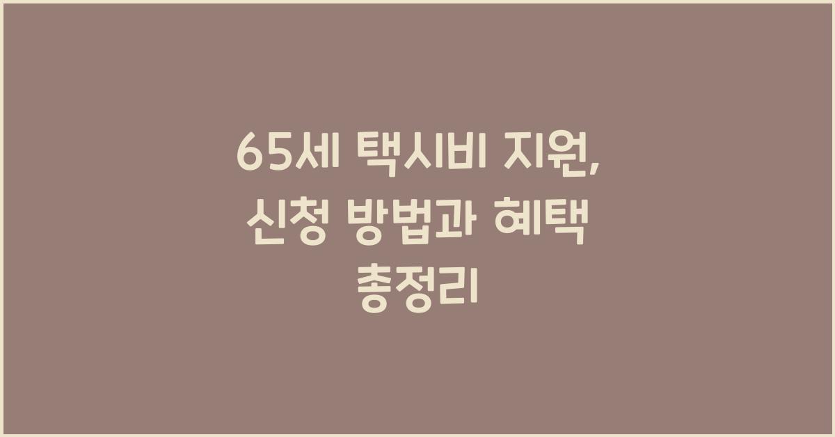 65세 택시비 지원