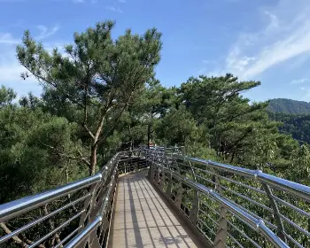 소금산 출렁다리&amp;#44; 소금산 그랜드밸리_1