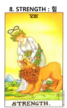 타로카드의 탄생수 8