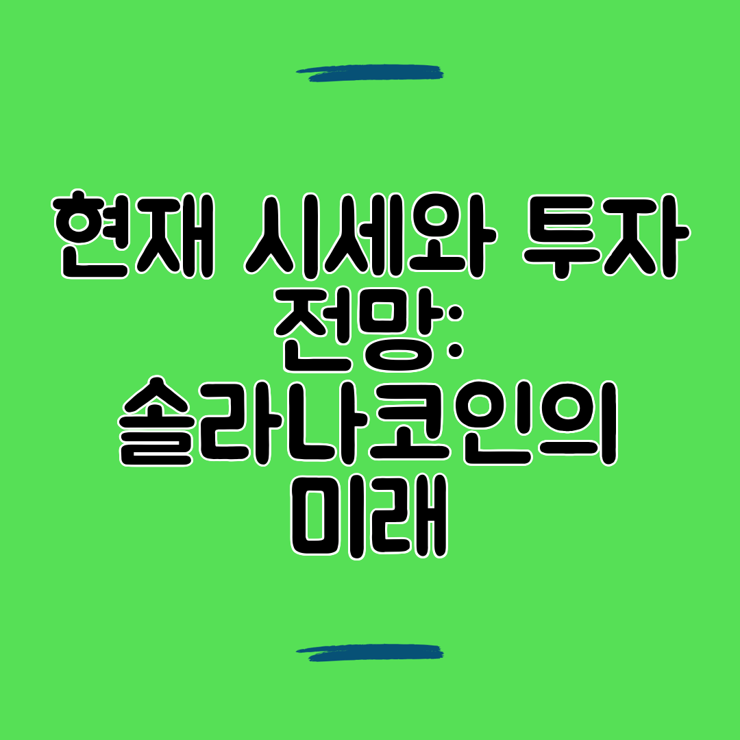 현재 시세와 투자 전망 솔라나코인의 미래