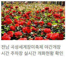 곡성 장미