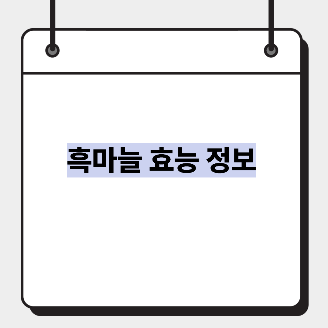 흑마늘 효능 정보