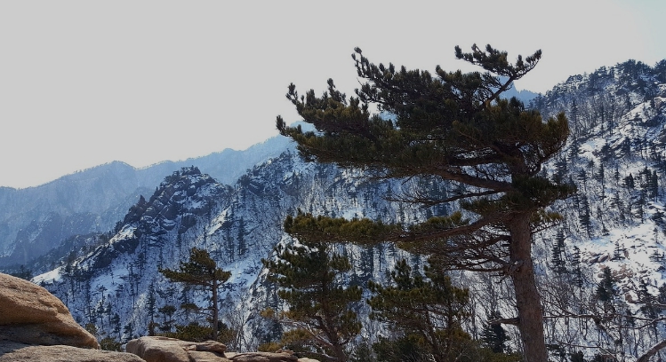 눈덮힌-설악산