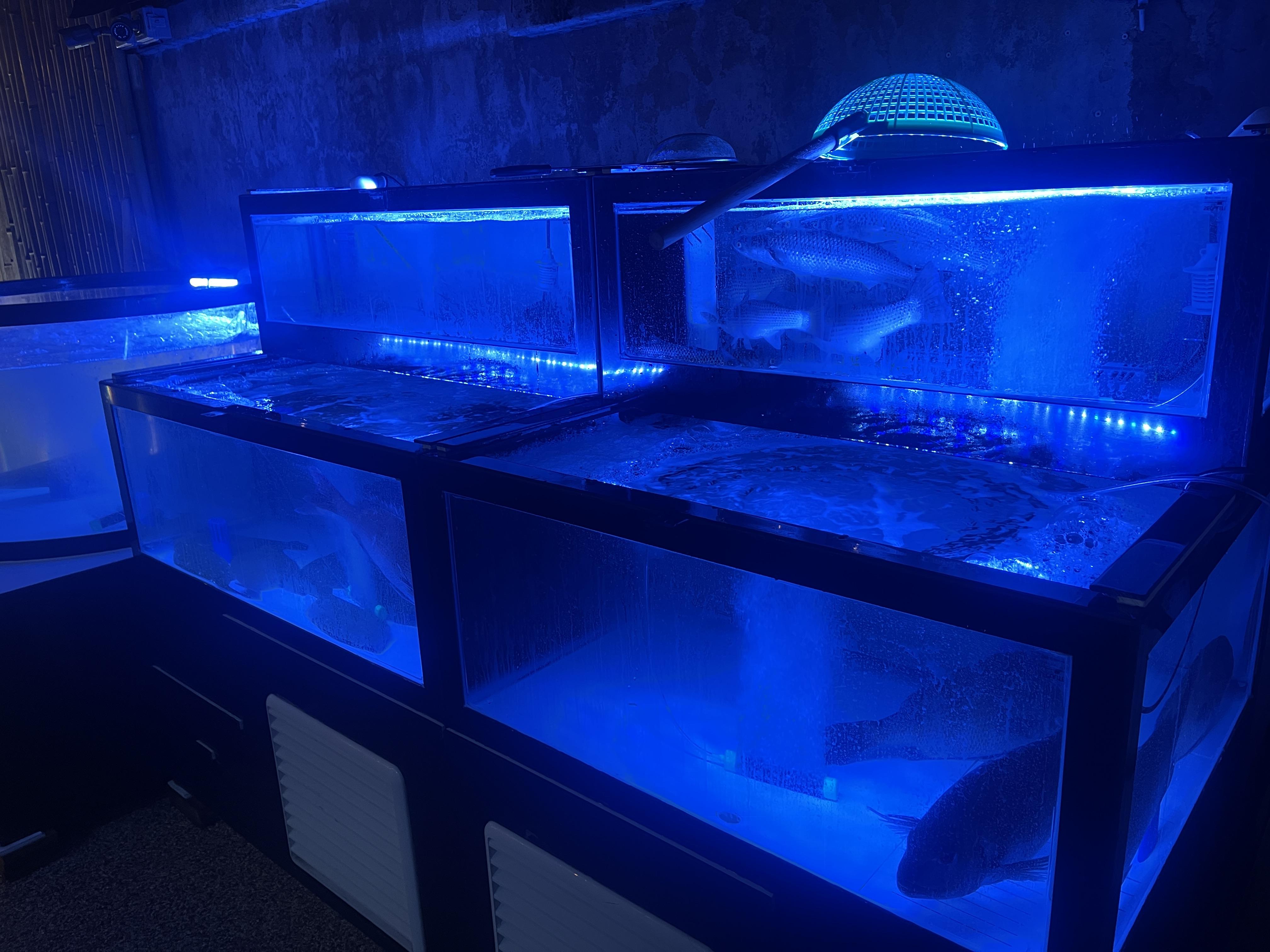 대구횟집술집맛집 대봉동 구공회 수조