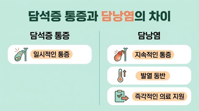 담낭염 담석 통증 차이 지속 통증 열 오한