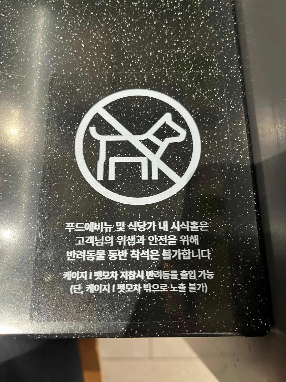 동탄-롯데백화점-푸드코트-강아지동반-안내