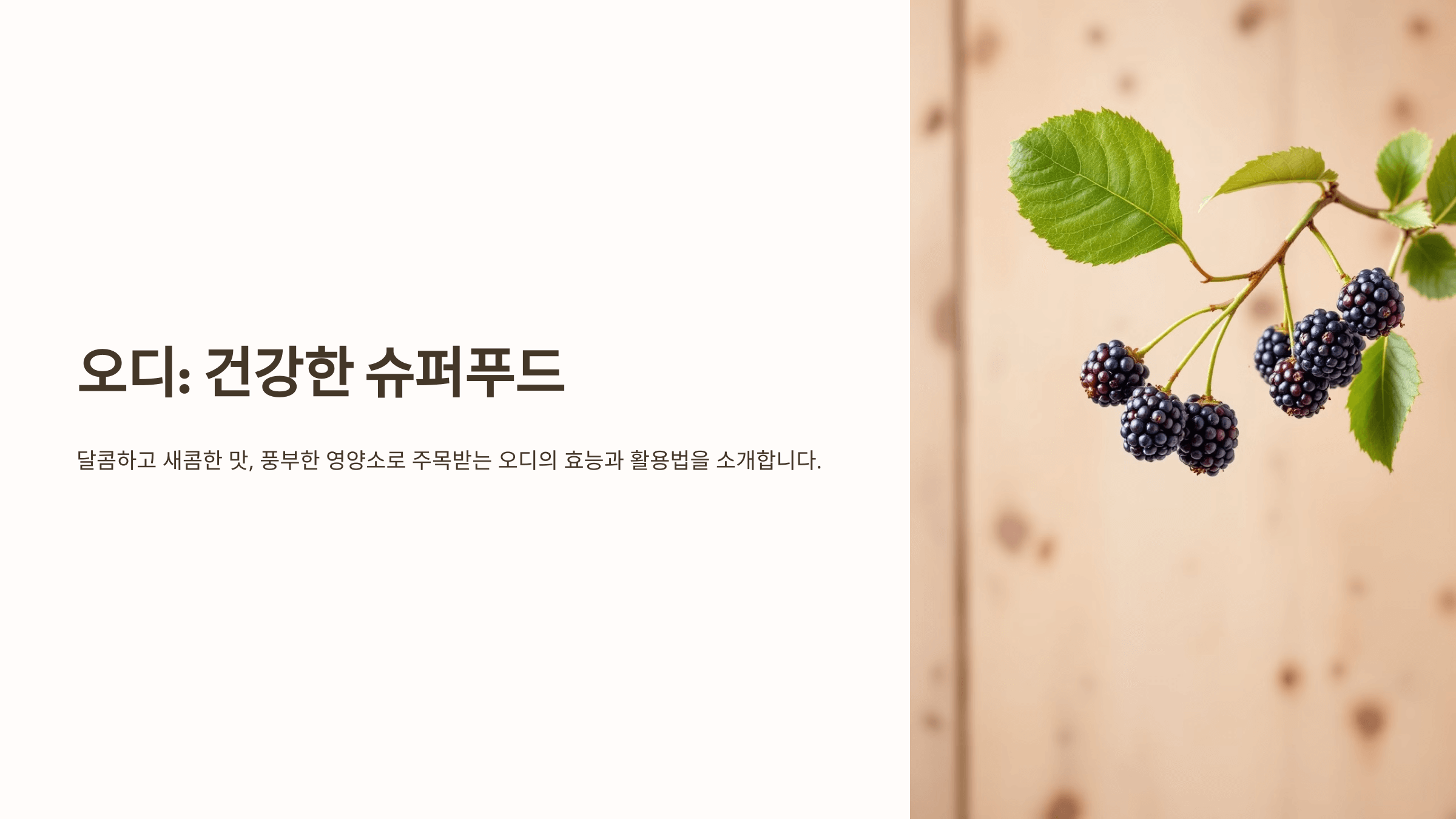 오디 사진입니다.